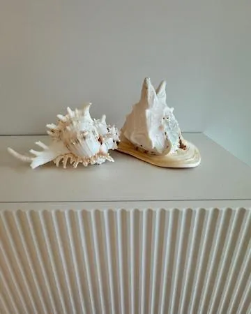 Apartment Baltic Zefir Sea&spa-hevenia Pogorzelica (Gmina Rewal)